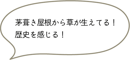 茅葺き屋根から草が生えてる！歴史を感じる！