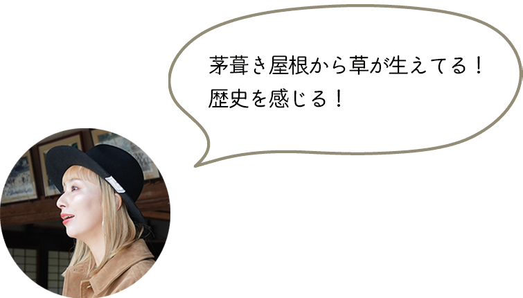 茅葺き屋根から草が生えてる！歴史を感じる！