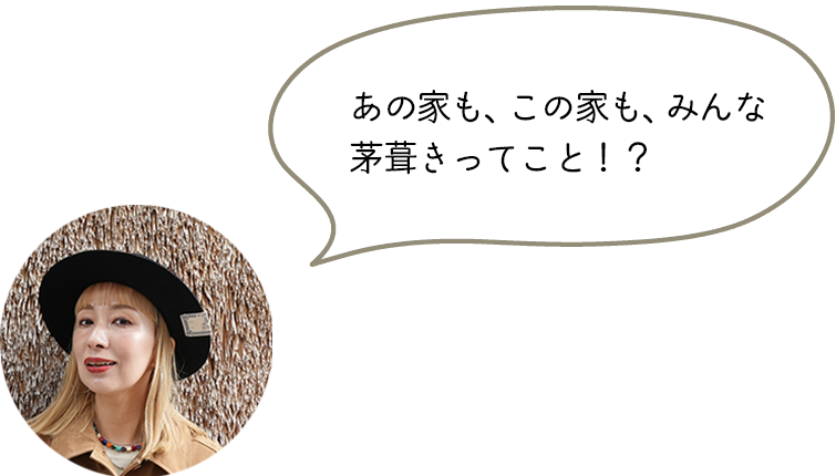 あの家も、この家も、みんな茅葺きってこと！？