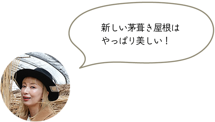 新しい茅葺き屋根はやっぱり美しい！